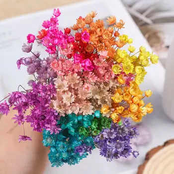 30 ADET Mini Papatya Küçük Yıldız buket çiçekler Doğal Bitkiler Kurutulmuş Çiçekler Korumak Çiçek Düğün Parti Ev Dekorasyon Malzemeleri