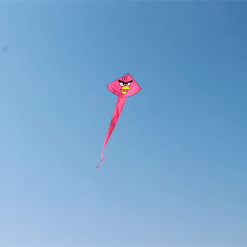 ücretsiz kargo kuş uçurtma uçan oyuncaklar çocuk uçurtma plaj uçurtma yamaç paraşütü rüzgar çorap kiteboard kevlar hattı uçurtma sörf paraşüt Görüntü 3