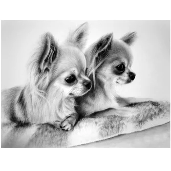 Chihuahua Köpek Diy Elmas Boyama Çapraz Dikiş Hayvan Mozaik Tam Kare Yuvarlak Düğün Dekorasyon Elmas Nakış SaleZP-872