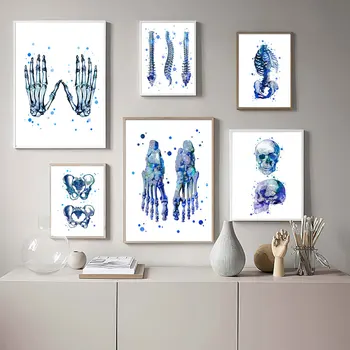 Mavi İnsan Anatomisi duvar sanatı tuval yağlıboya Tıbbi Poster İskelet Resim Vücut Eğitim Resimleri Estetik Odası Dekor Hediye