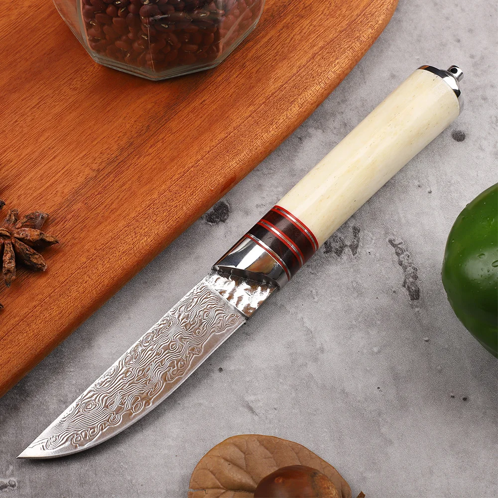 Yeni Stil 3.5 İnç Vg10 Şam Çelik Pişirme Meyve Açık Kaya Tırmanışı Mutfak EDC Maket Bıçağı Görüntü 1