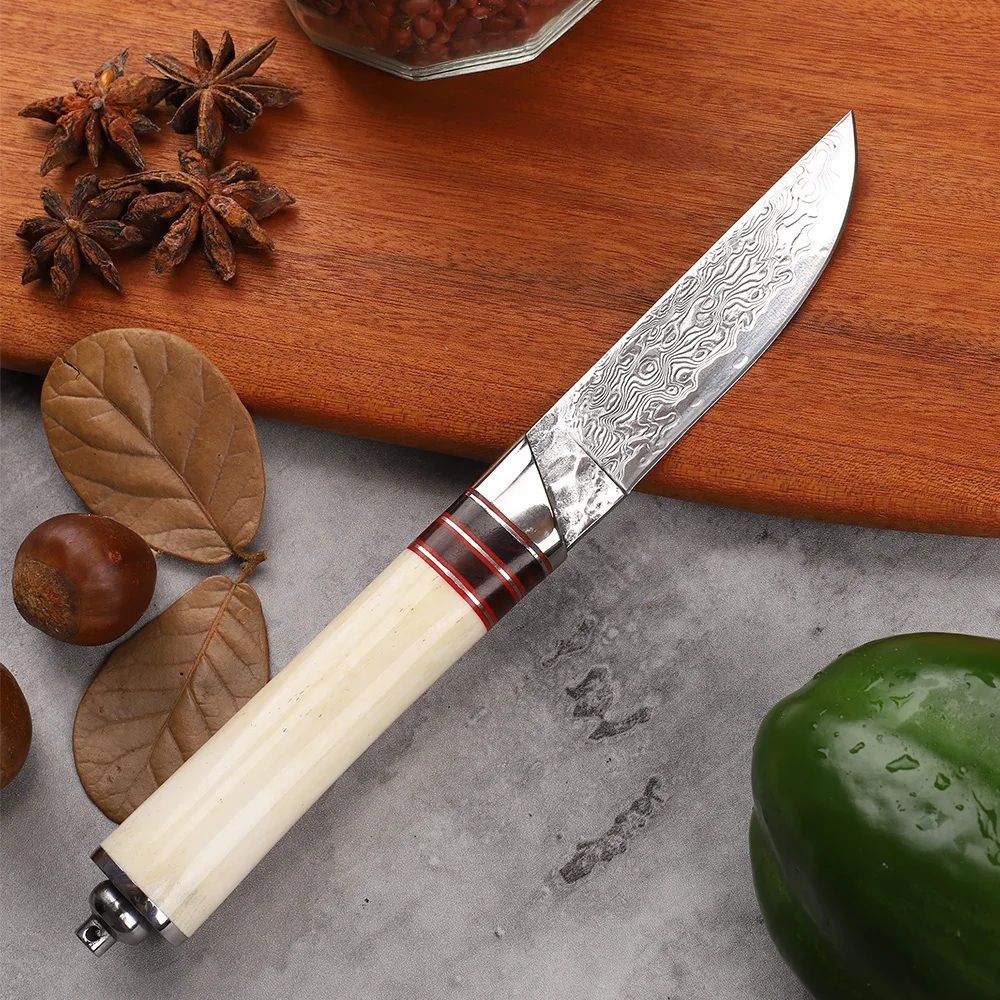 Yeni Stil 3.5 İnç Vg10 Şam Çelik Pişirme Meyve Açık Kaya Tırmanışı Mutfak EDC Maket Bıçağı Görüntü 3