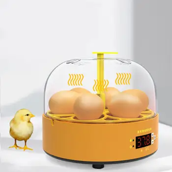 Yumurta Kuluçka Otomatik Dönüm sıcaklık kontrol cihazı Ördek Kuş LED Lamba